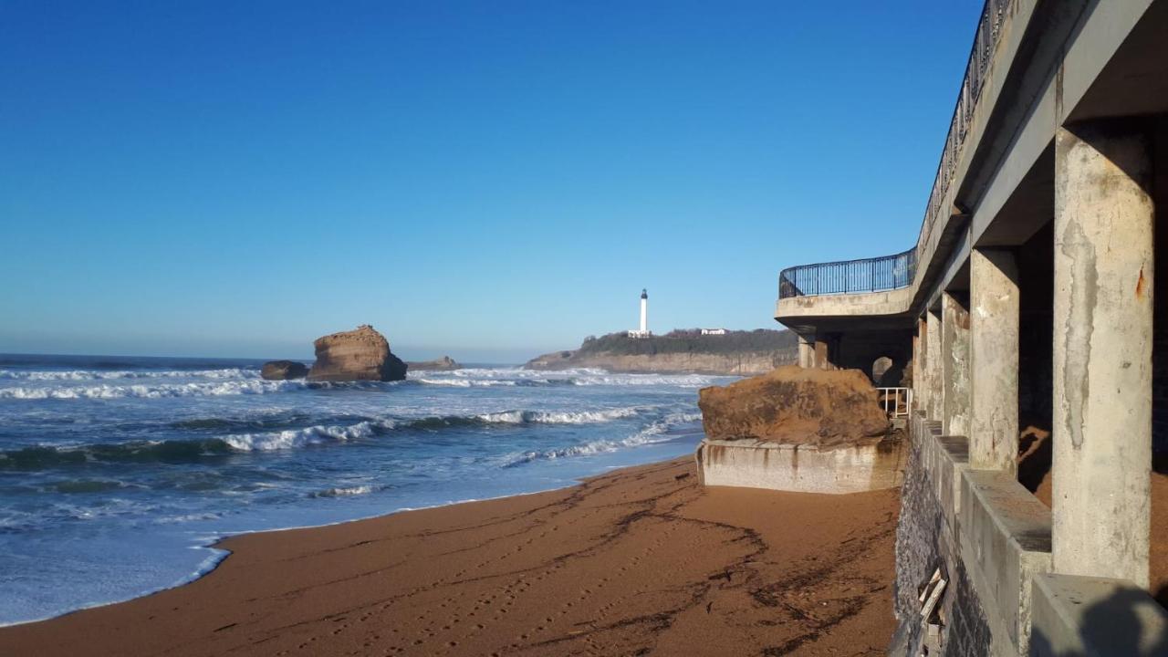 Studio Et Piscine Sur La Grande Plage ビアリッツ エクステリア 写真